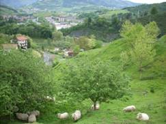 43.Zona de posible bajada a sondeos para el viaducto de Oaska.JPG