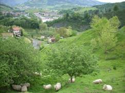 43.Zona de posible bajada a sondeos para el viaducto de Oaska.JPG